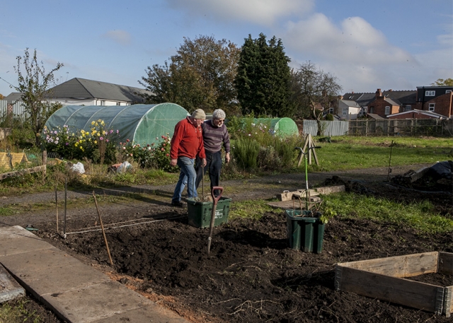 Steve and Len assessing progress on the New Shoots Gardening Club plot