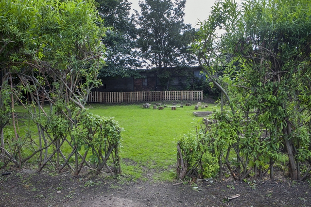 Willow hedge round Washwood Heath nursery plot, St Margarets Rd Allotment Site