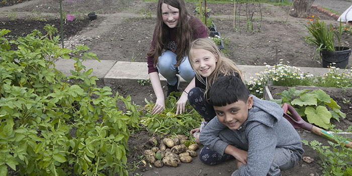 Diverse Garden Project